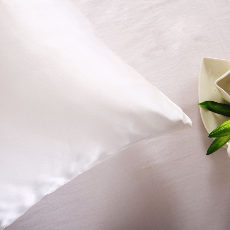 Kissenbezug aus 100 % natürlic – Silk Pillowcase Bewertung und Preis