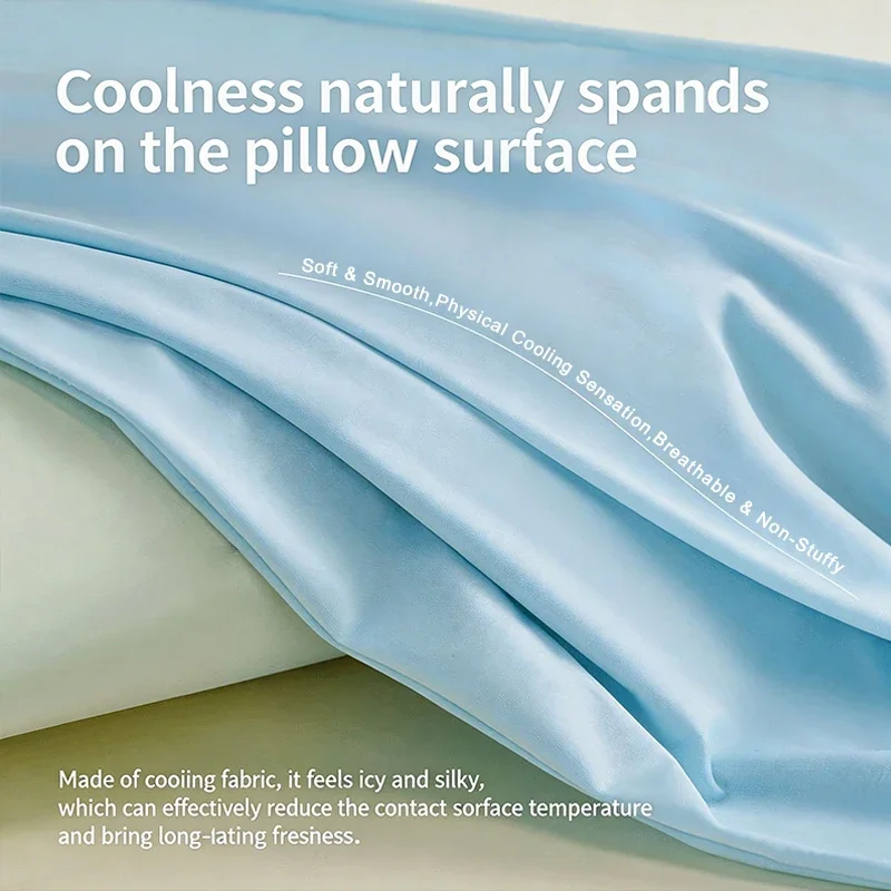 1 cooler Sommer-Eisseiden-Kiss – Silk Pillowcase Bewertung und Preis