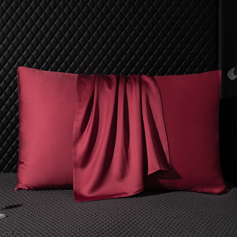 Echte Maulbeerseide Kissenbezu – Silk Pillowcase Bewertung und Preis